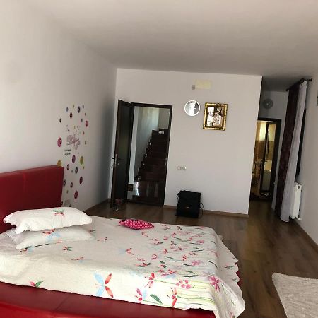 Adelina Appartement Schitu Buitenkant foto