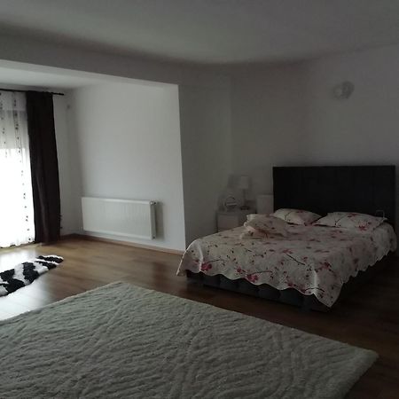 Adelina Appartement Schitu Buitenkant foto
