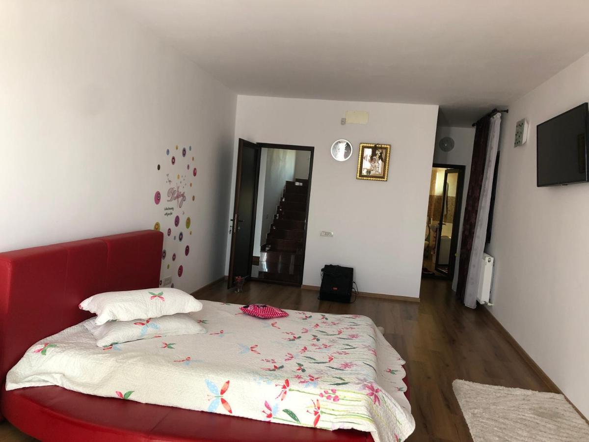 Adelina Appartement Schitu Buitenkant foto